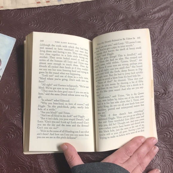 CS Lewis the last battle - Picture 8 of 11